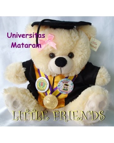 Boneka Wisuda Universitas Mataram - Teknik (30 cm)